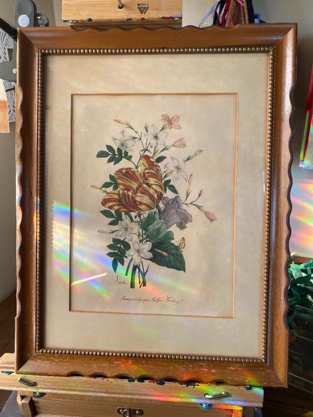 Vintage 1940 Benoit Chirat Botanical Floral Art Print Framed With Glass